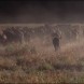 '1923' devient 'Dutton Ranch' sur les r�seaux sociaux
